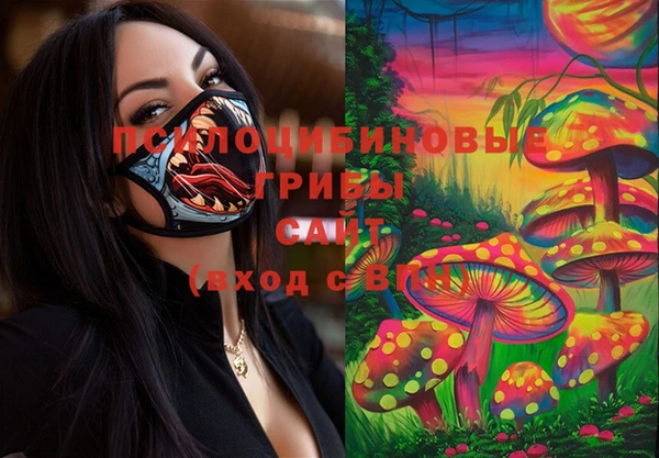 амф Абинск