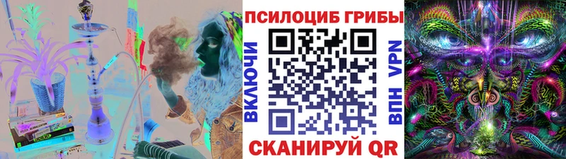 Псилоцибиновые грибы Cubensis  продажа наркотиков  Костерёво 